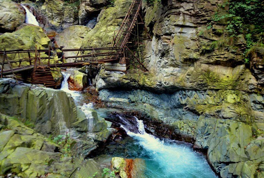 沂水县向阳花助学中心第八届表彰联谊会隆重举行