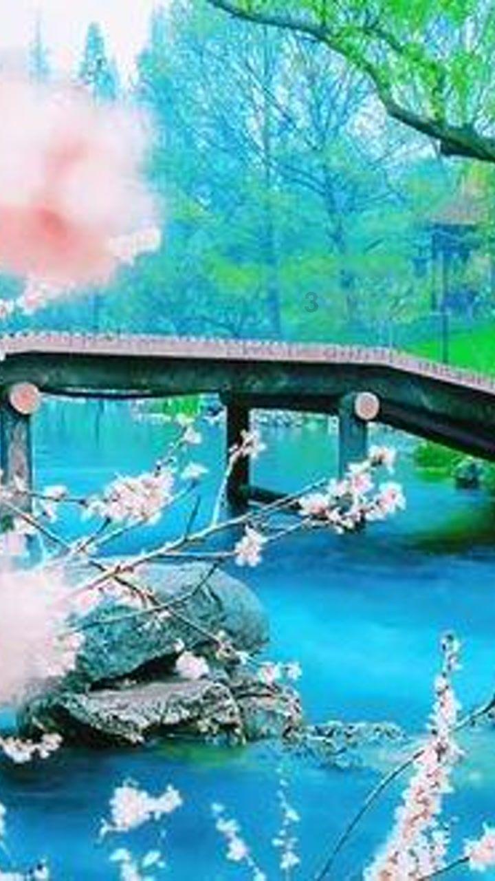 逃离野鸡森林